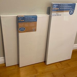 Set of assorted painting canvas